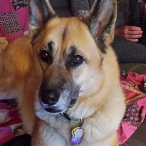 Meet your Posher, Michelle